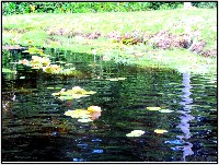Plonsen - nr. 0151